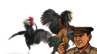 Maraknya Perjudian Sambung ayam Desa Karangsoko Trenggalek Tak Tersentuh Aparat Penegak Hukum (APH)