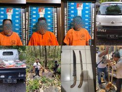 Polisi bersama Perhutani Bongkar Sindikat Ilegal Logging di Situbondo
